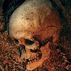 Graverobbers skull