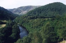 Dinas Hill