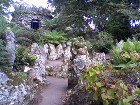Bicton Park Fernery