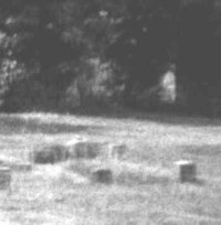 ghosts us in uk