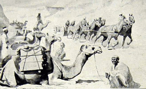 Camel Corp - LIN