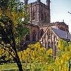 Chester Cathedral