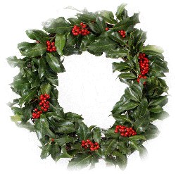 Christmas wreath