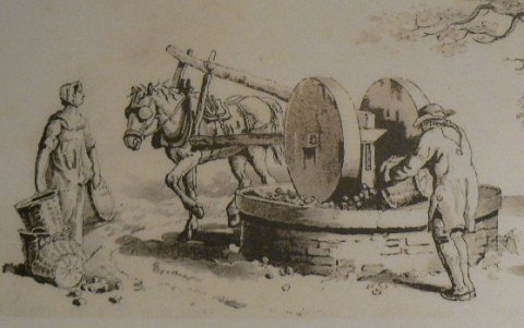 milling apples with horse HUK