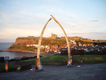 Whitby-bonearch,copyright Suzanne Kirkhope, Wonderful Whitby
