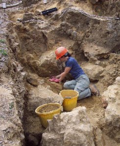 Archaeologist working