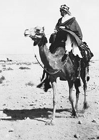Lawrence riding a camel - PD