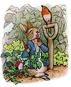 Peter Rabbit