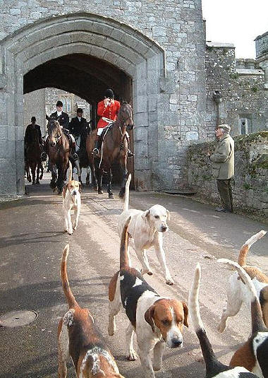 Picture of the hunt master and hounds exiting Powderham Castle for a hunt - Owain Davies