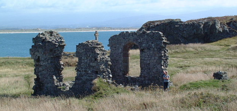 Saint Dwynwen Church PD