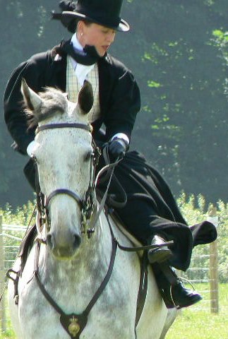 Side-Saddle at the Gallop