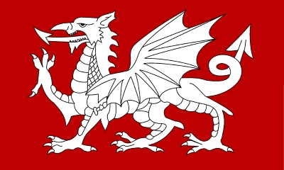 White Dragon flag of St Edmund