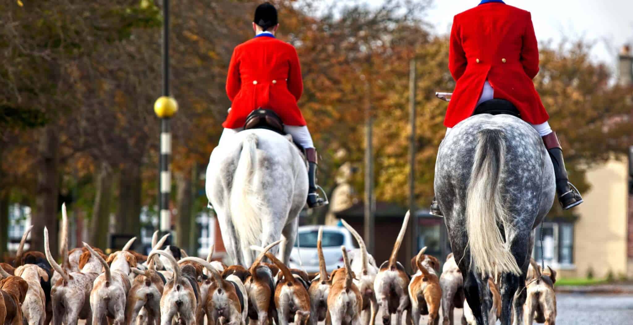 Lov na slikama i videu History-of-fox-hunting