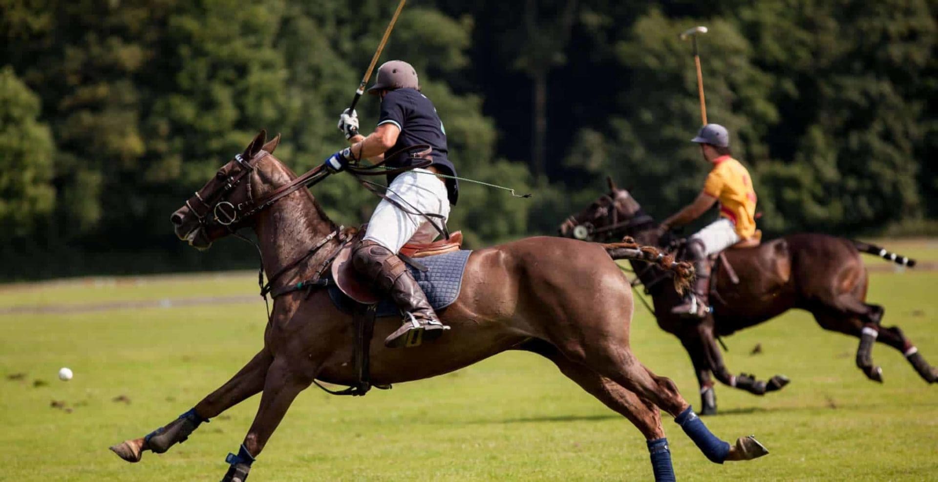 The origins and history of Polo
