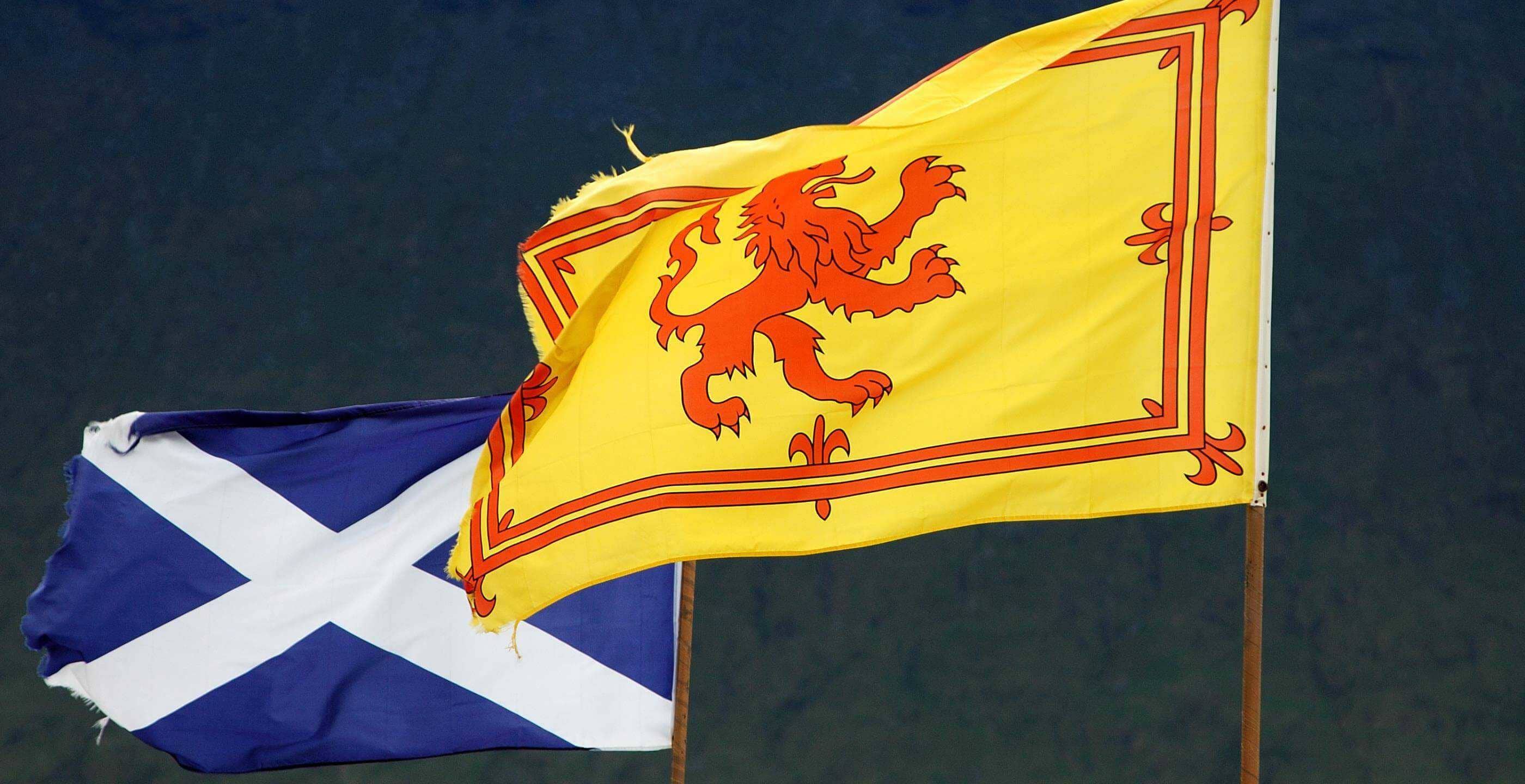 T-Shirts Scotland Andrews Cross Scottish Lion in The Colors of The Scotland Flag St 3dRose Macdonald Creative Studios