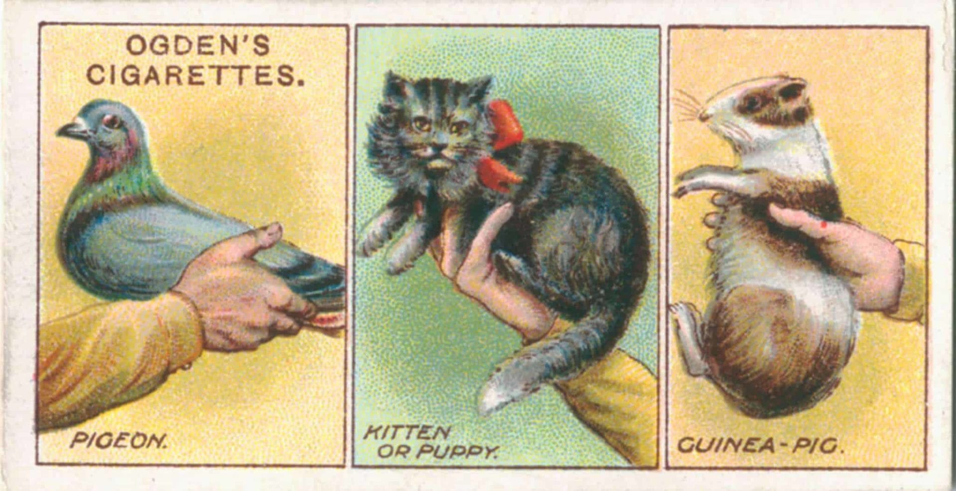Cigarette Cards and Cartophily