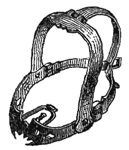 Scold's bridle