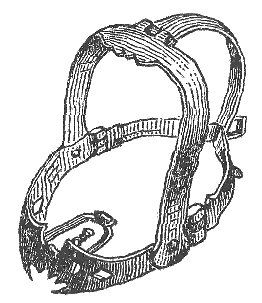 Scold's bridle