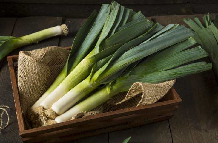 Basket of Leeks - Shut