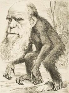 Charles Darwin caricature