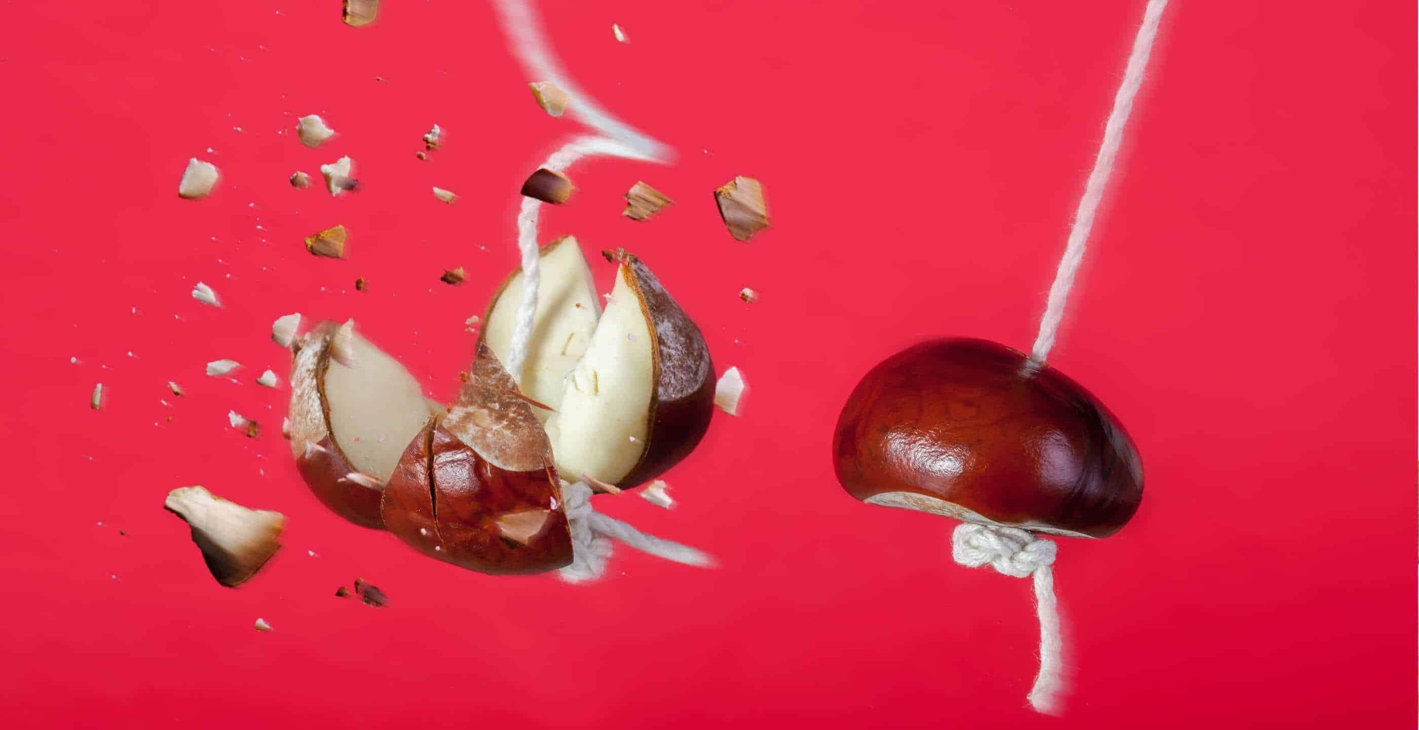 Picture of Conkers