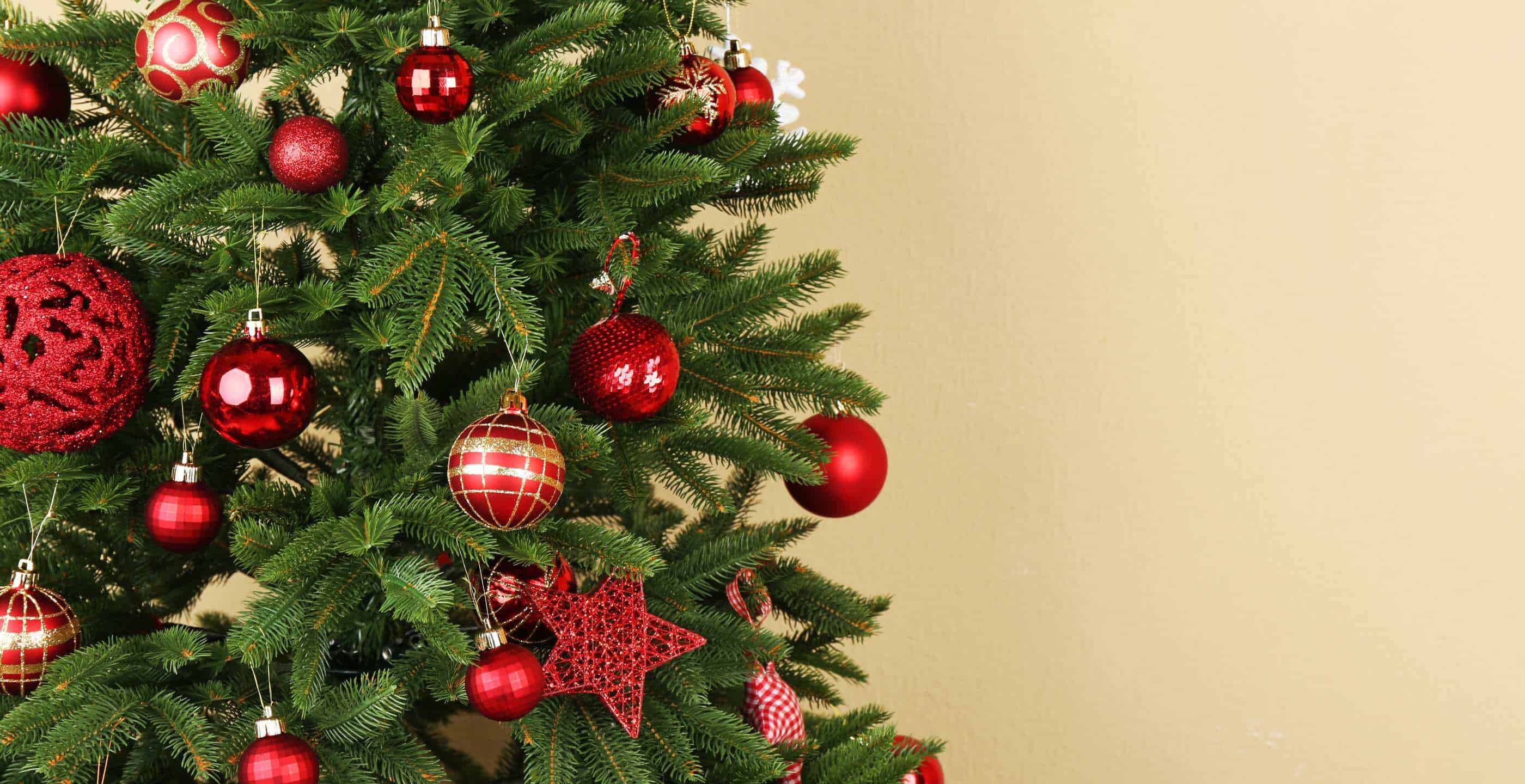 The Christmas Tree - Historic UK