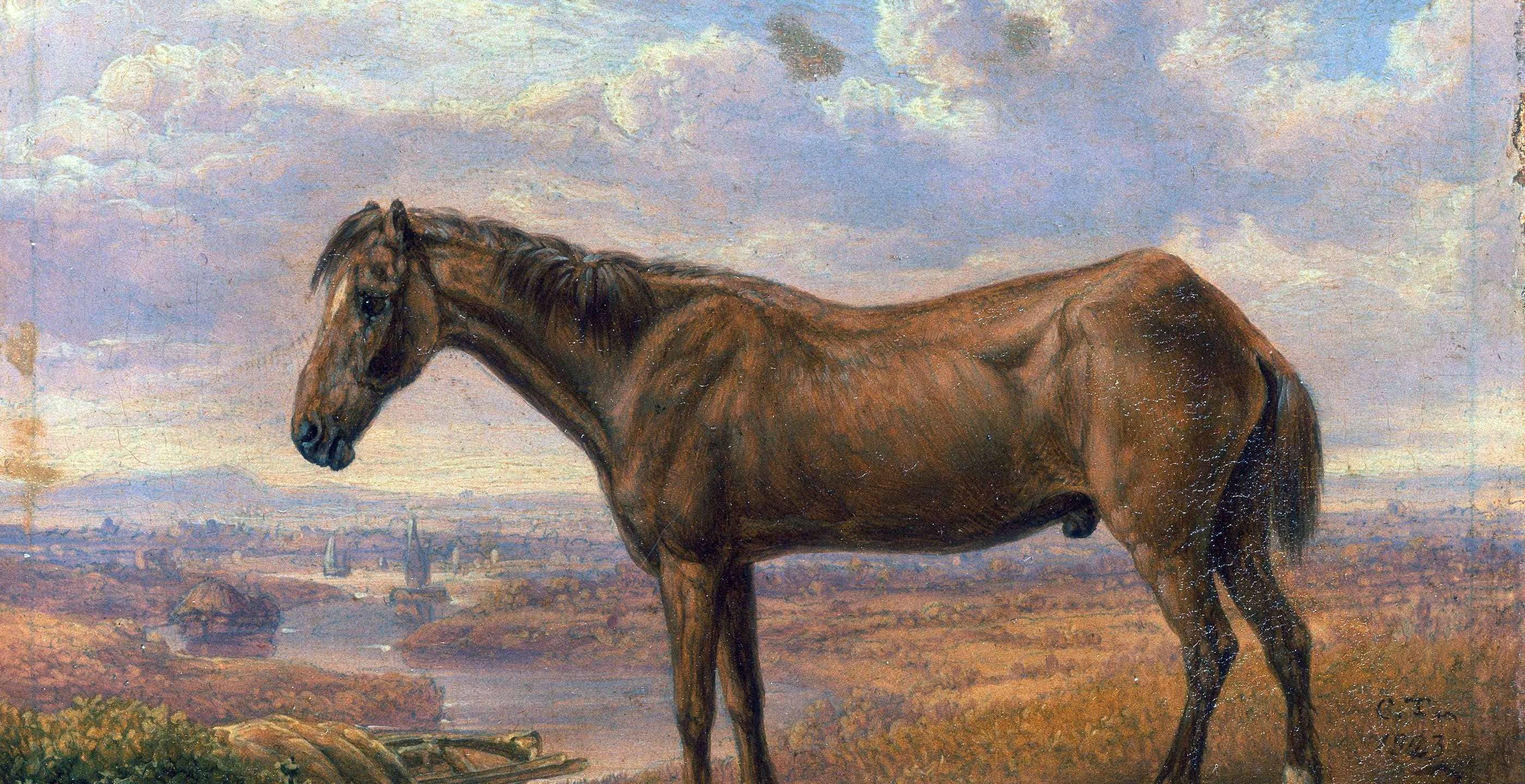 BRITISH DRAUGHT HORSES IN THE 19TH CENTURY