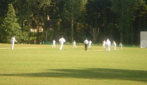 Village cricket