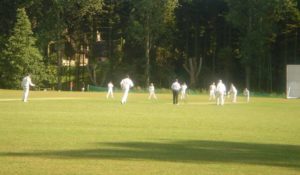 Village cricket