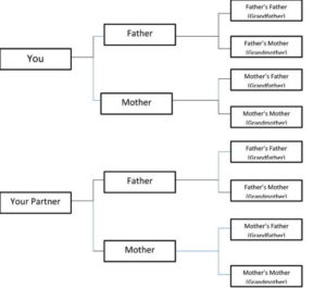 Tracing your Family Tree for Free - Historic UK