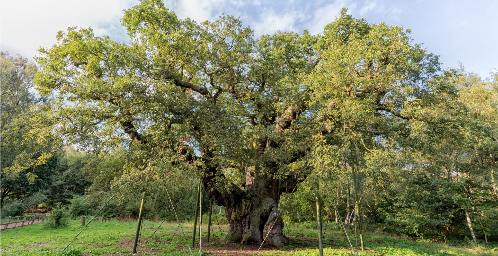 The Forest of Arden - Historic UK