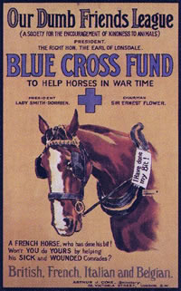 1916 poster promoting the Blue Cross Fund. Wikipedia Commons