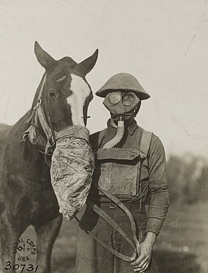 Soldier and horse wearing gas masks, 1918. Wikipedia Commons.