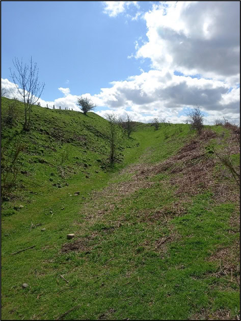 An inner view of Old Oswestry’s upper ramparts. Even after thousands of years, they are still formidable obstacles. Photo by Mike Edwardson.