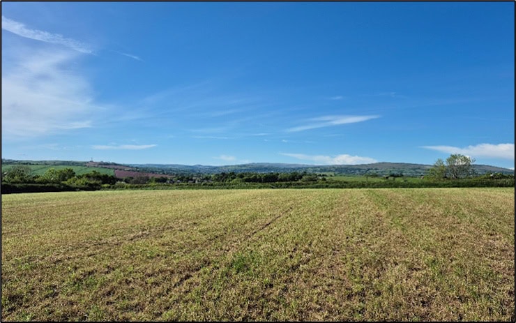 This field to the South-East of the village saw intense fighting in the Second Battle of Modbury. Photo by Mike Edwardson.