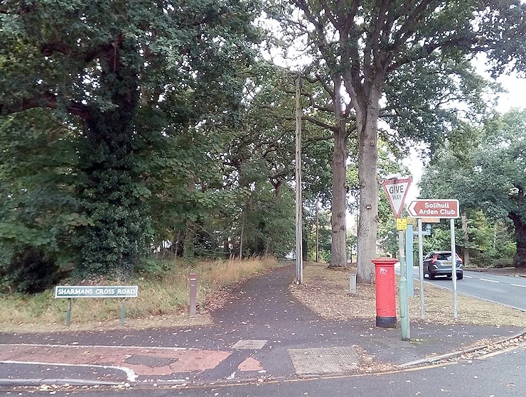 Cut Throat Coppice, Solihull (Picture: David Jones)