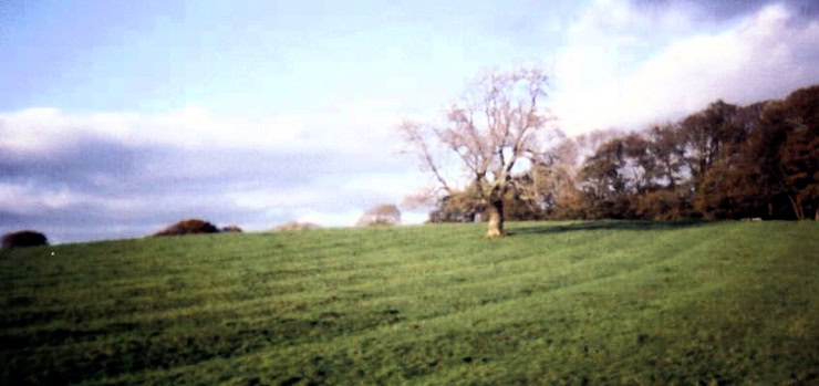 The ridge and furrow marks in Buchans field at Wester Kittochside Farm near Glasgow. WC PD.