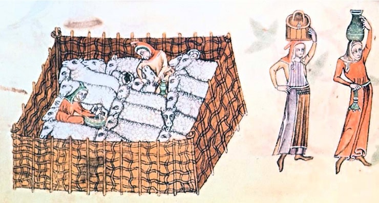 Sheep pen, Luttrell Psalter. WC PD.